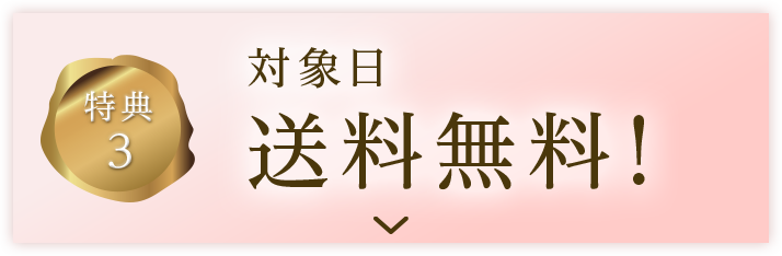 対象日 送料無料特典