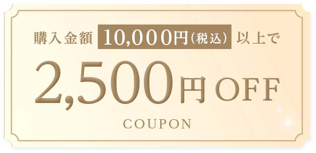 10,000円以上の購入で2,500円オフクーポン