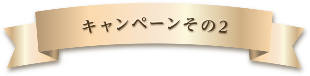 キャンペーン2