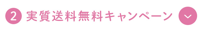 実質送料無料キャンペーン