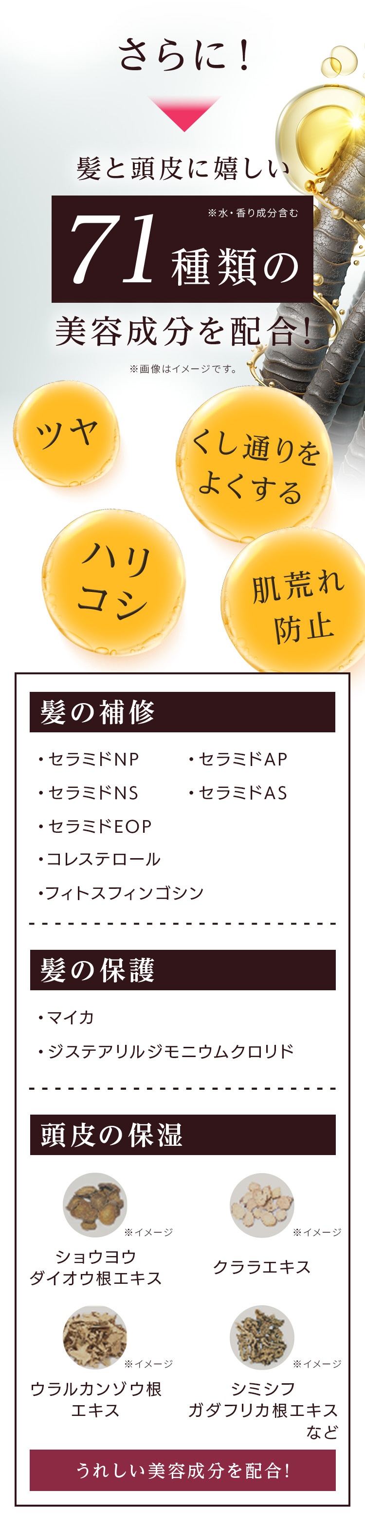 ツヤやくし通りの良さ、ハリコシ、肌荒れ防止などの効果と、髪の補修・髪の保湿・頭皮の保湿の3つのポイントを成分とともに紹介したビジュアル。