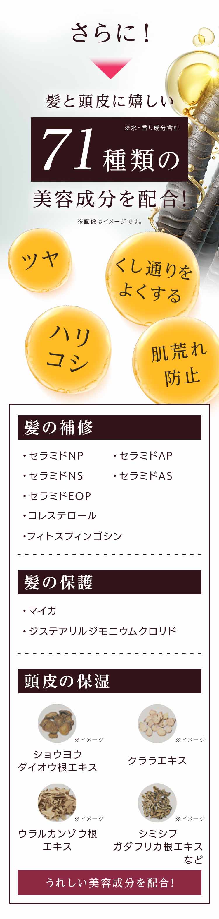 ツヤやくし通りの良さ、ハリコシ、肌荒れ防止などの効果と、髪の補修・髪の保湿・頭皮の保湿の3つのポイントを成分とともに紹介したビジュアル。