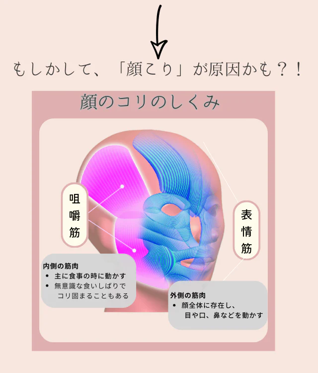 美容整体サロン開発 筋肉のコリをほぐして フェイスラインすっきりへ たまご型美顔ローラー ユビタマゴ４