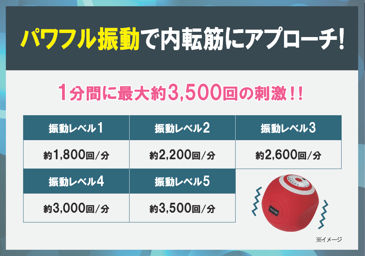 ルネサンス フィットネスクラブが つくった 座ったままパワフル振動で 内ももトレーニング！ スタイリーボール