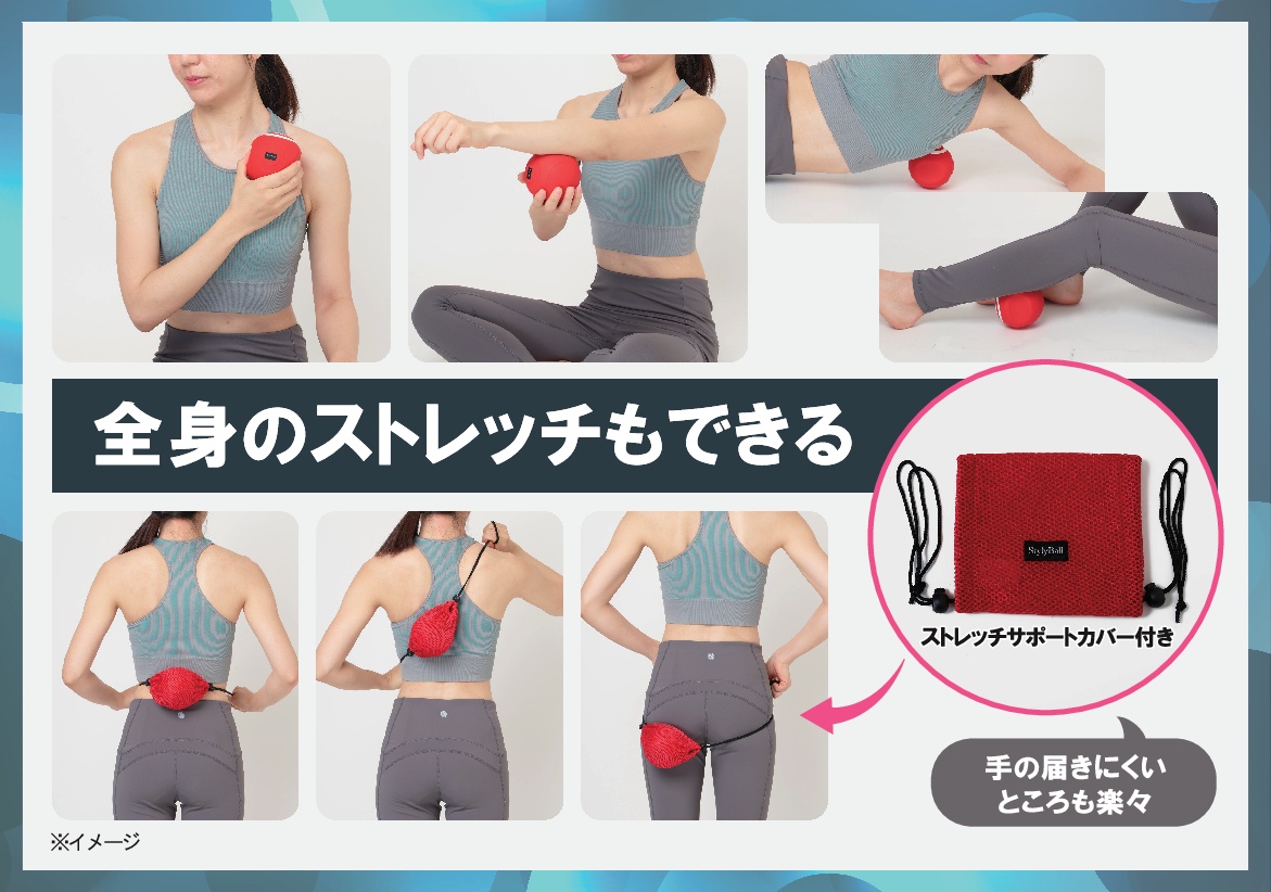 ルネサンス フィットネスクラブが つくった 座ったままパワフル振動で 内ももトレーニング！ スタイリーボール