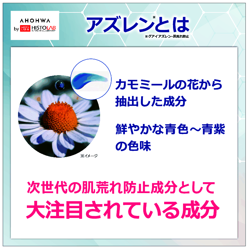 エラジュレン 皮膚科学の知識と エステの技術を集結した ハリアプローチ！ オールインワン ペプタブルークリーム ビッグサイズ２本 特別セット