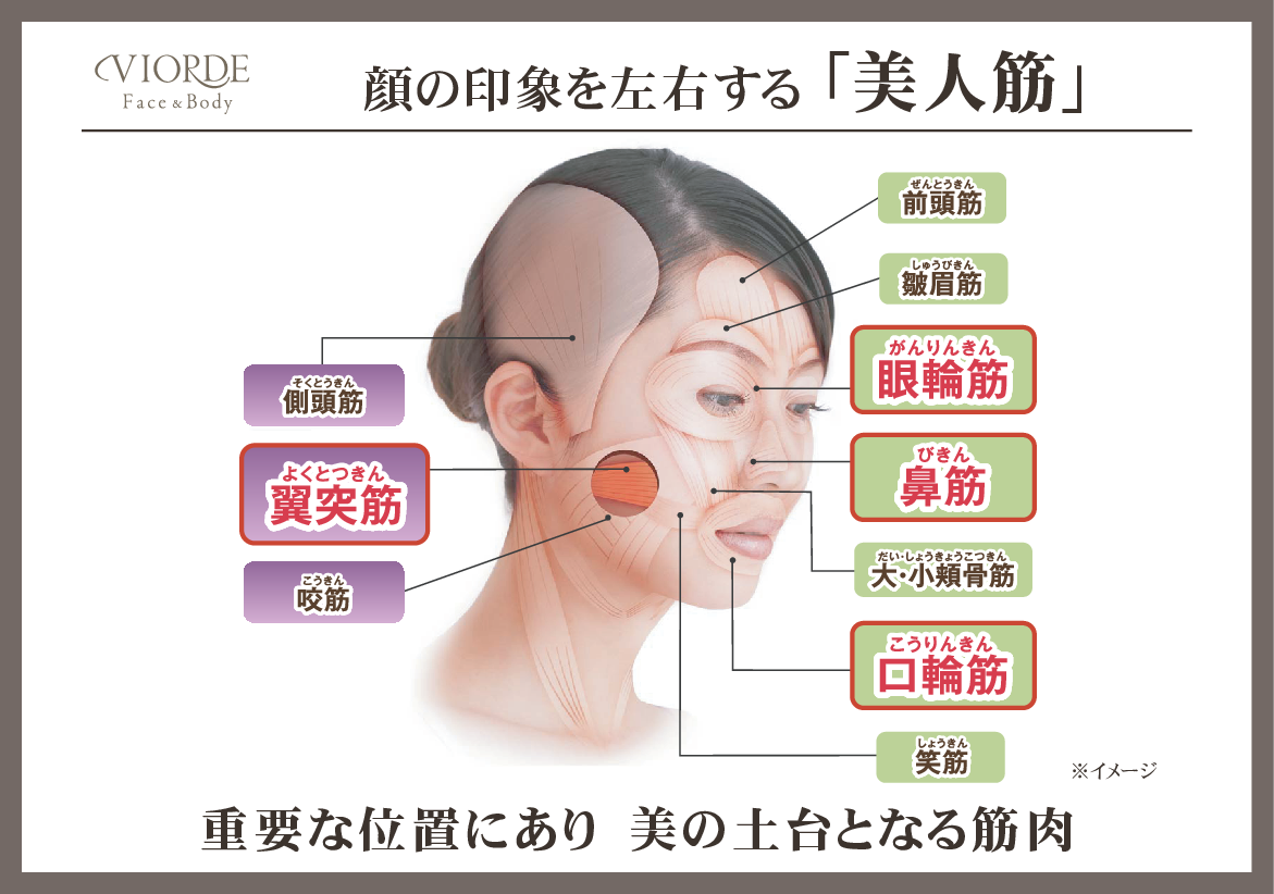 兼子和大監修 日常に「ながら」で 全身美容トリートメント EMS美容