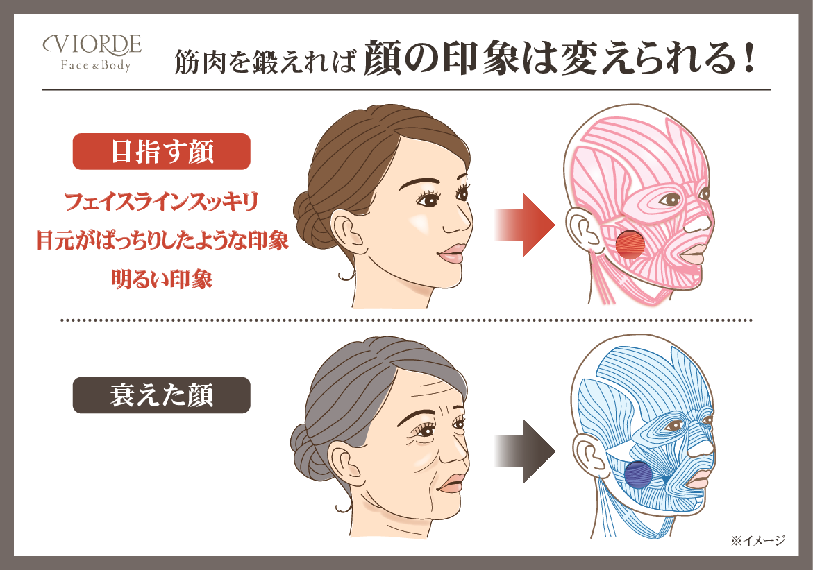 兼子和大監修 日常に「ながら」で 全身美容トリートメント EMS美容