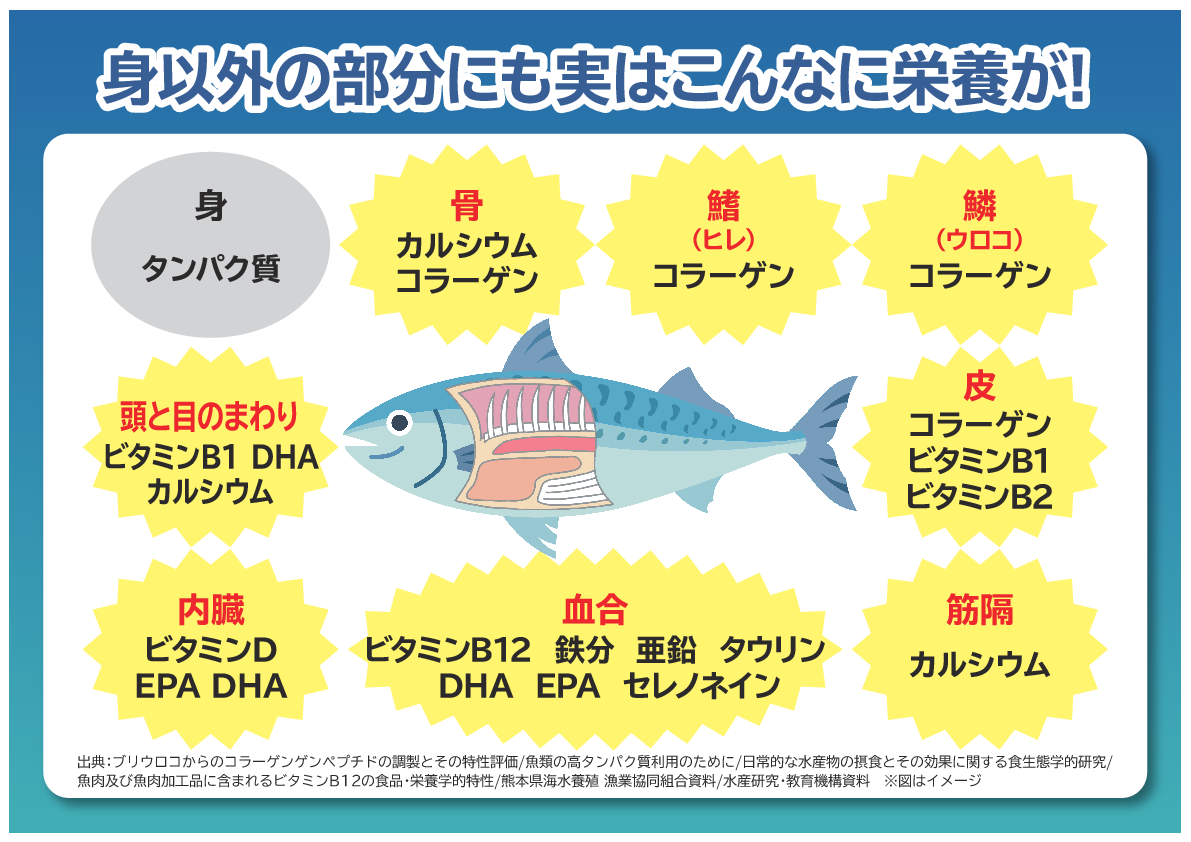 魚を非加熱で パウダー化して配合！ 豊富な種類の栄養素と 健康成分セレノネイン含有 飲むおさかな まるごとプラス２箱セット