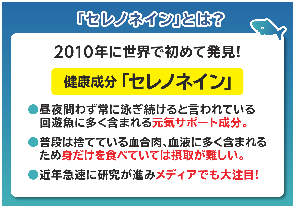 魚を非加熱で パウダー化して配合！ 豊富な種類の栄養素と 健康成分セレノネイン含有 飲むおさかな まるごとプラス２箱セット