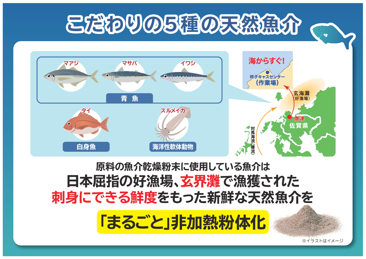 魚を非加熱で パウダー化して配合！ 豊富な種類の栄養素と 健康成分セレノネイン含有 飲むおさかな まるごとプラス２箱セット