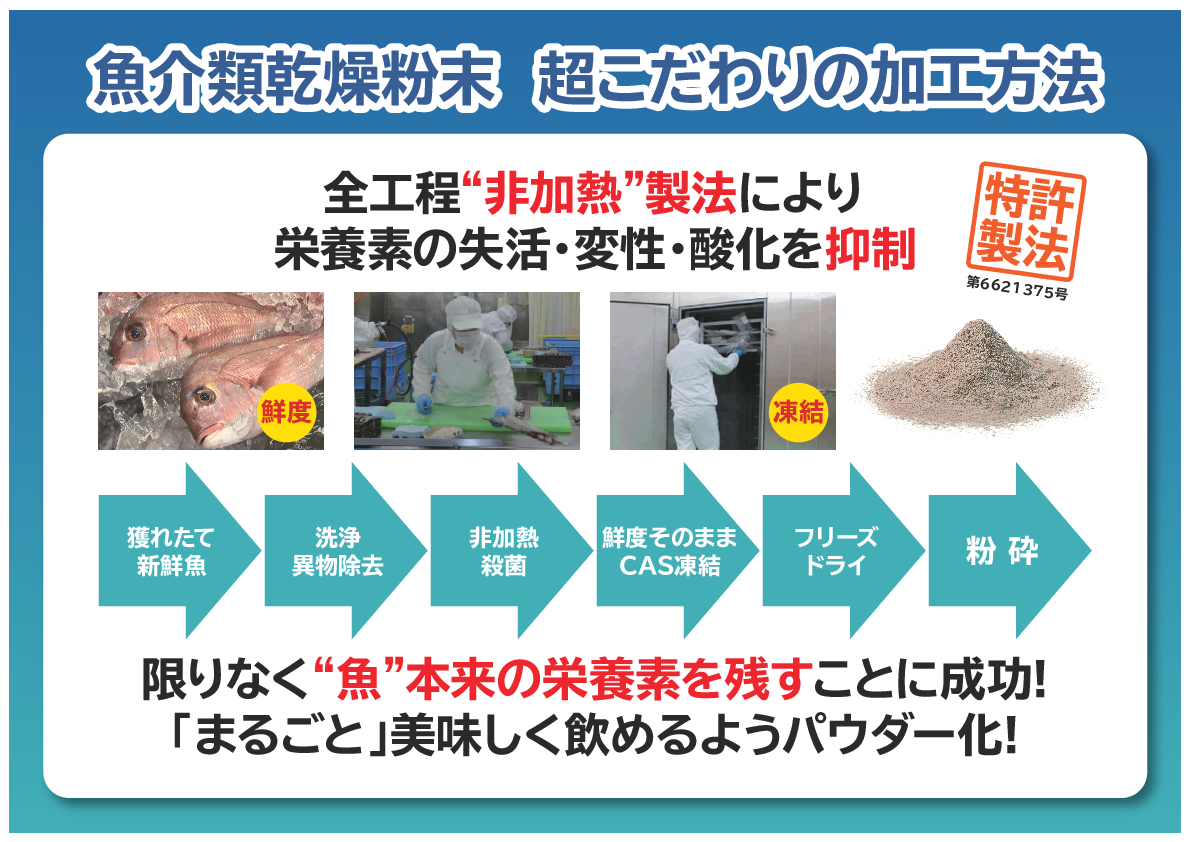 魚を非加熱で パウダー化して配合！ 豊富な種類の栄養素と 健康成分セレノネイン含有 飲むおさかな まるごとプラス２箱セット