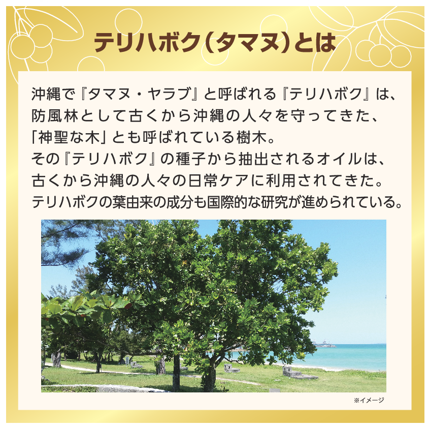 マイテリハ 注目のオイル テリハボク種子油配合 ハリツヤキメ肌へ導く ＴＡＭＡＮＵ ハイドラグロウジェル ２本セット
