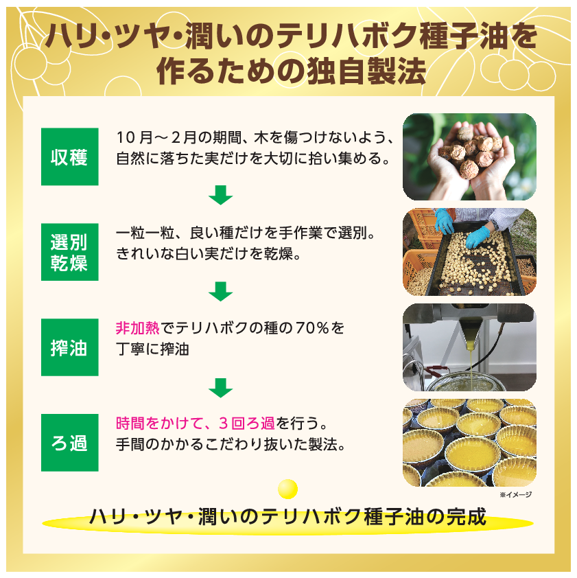 マイテリハ 注目のオイル テリハボク種子油配合 ハリツヤキメ肌へ導く ＴＡＭＡＮＵ ハイドラグロウジェル ２本セット