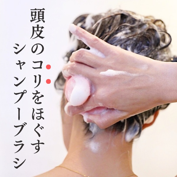 リ・ボンド ハリコシツヤ髪へ導く 独自ブレンドの補修成分！ ヘアプレックス ヘアケア 特別セット ＜フルーティーフローラル 　の香り＞