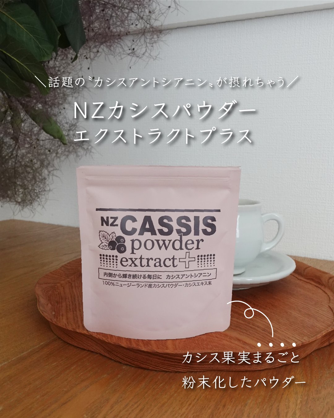自然の恵みそのまま！ カシスアントシアニンを 手軽に摂れる “ＮＺカシスパウダー 　エクストラクトプラス”