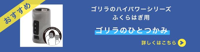 ゴリラのふたつかみ