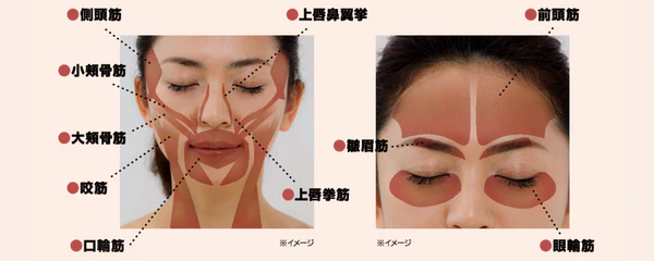 村木式整筋メソッドを 詰め込んだ美顔器で 心地良くホームケア！ アメージングローラー