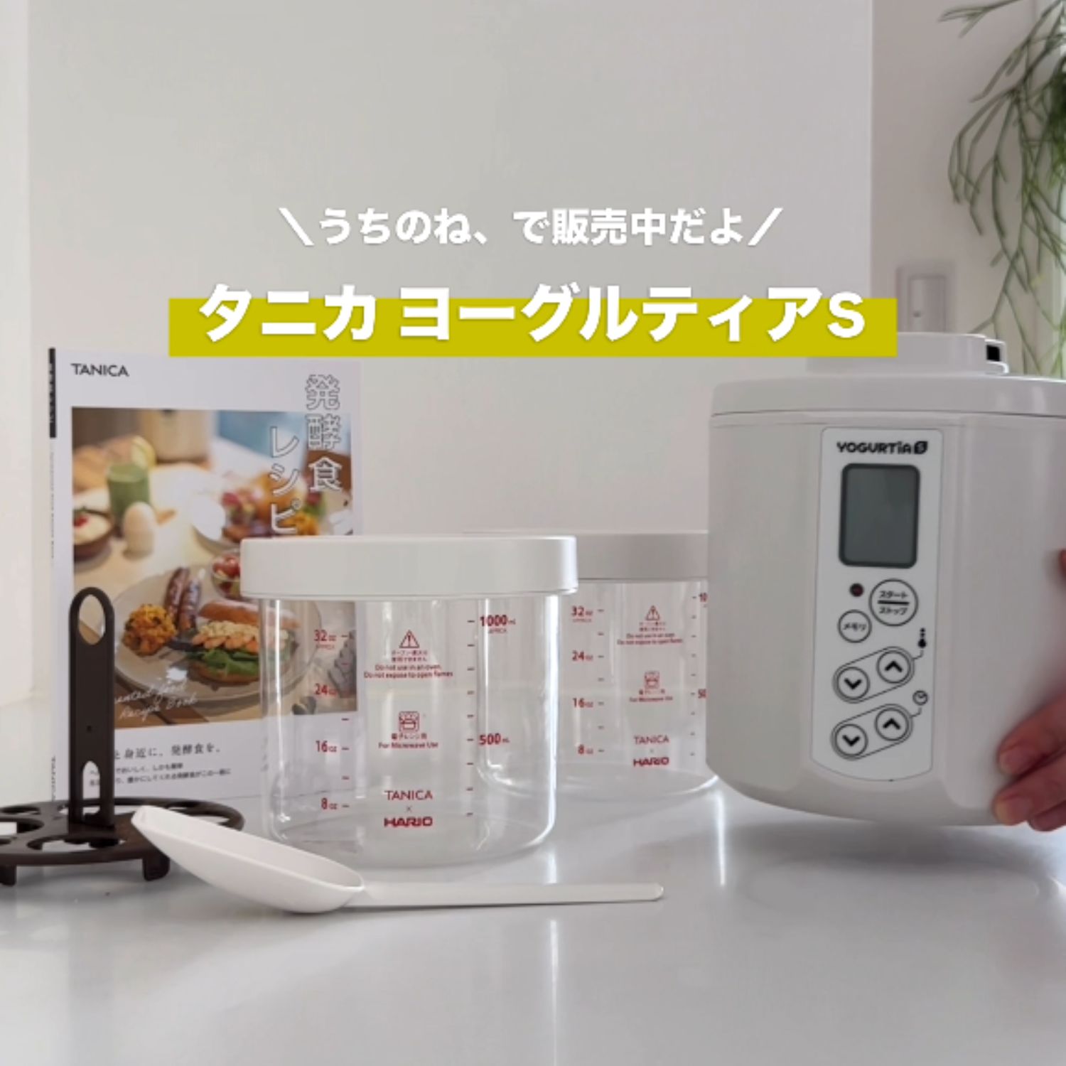 タニカ ガラスポット ヨーグルティアS YS－02 水切りバスケット付