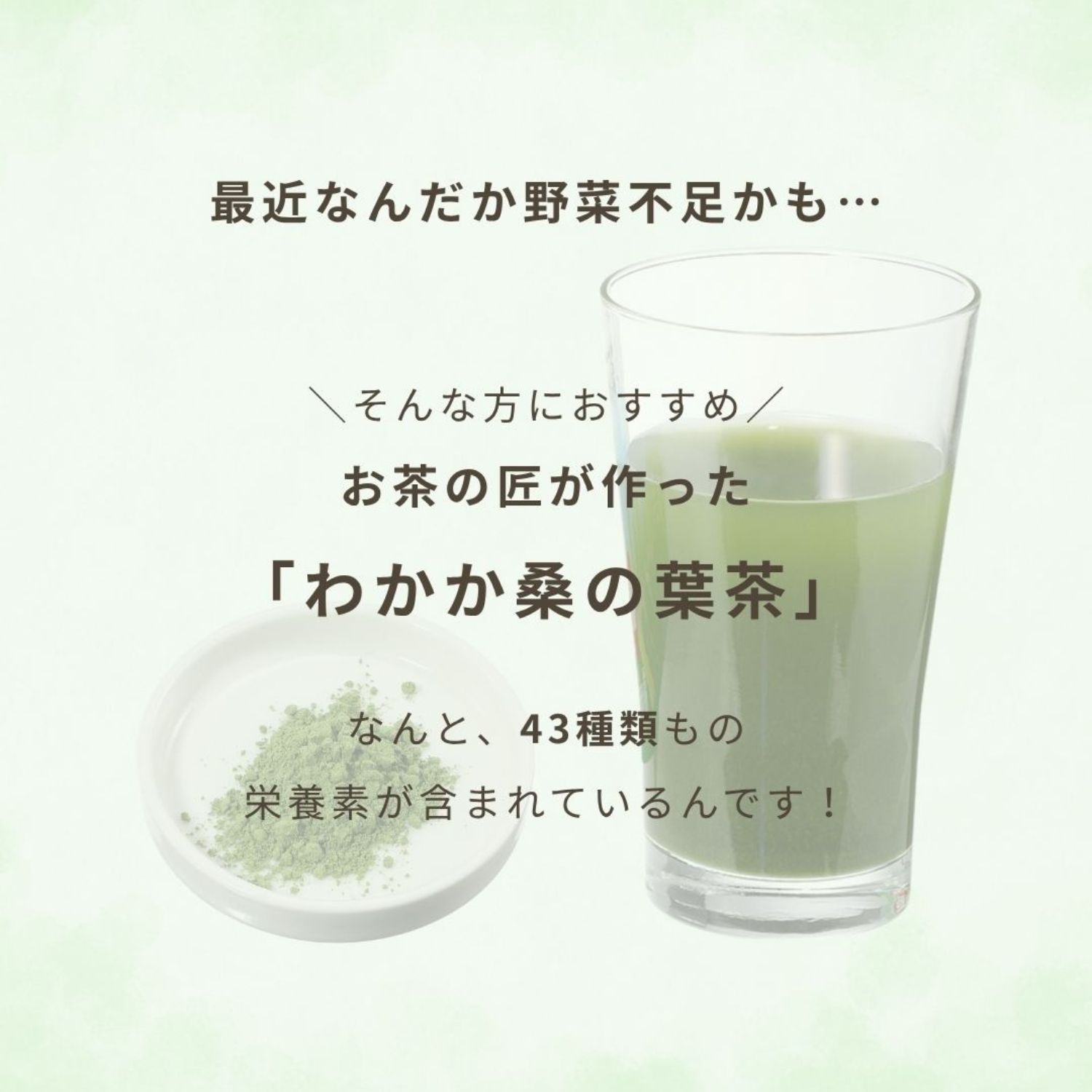 原材料は桑の葉のみ！ お茶でおいしく 栄養素チャージ “お茶の匠が作っ
