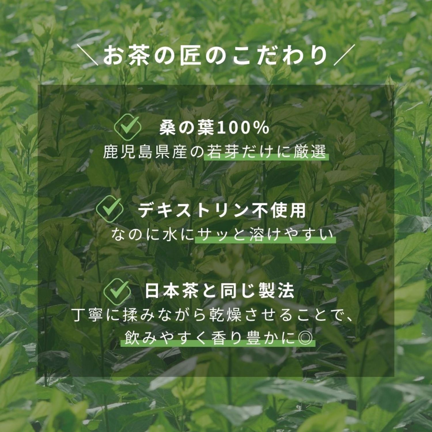 原材料は桑の葉のみ！ お茶でおいしく 栄養素チャージ “お茶の匠が作っ